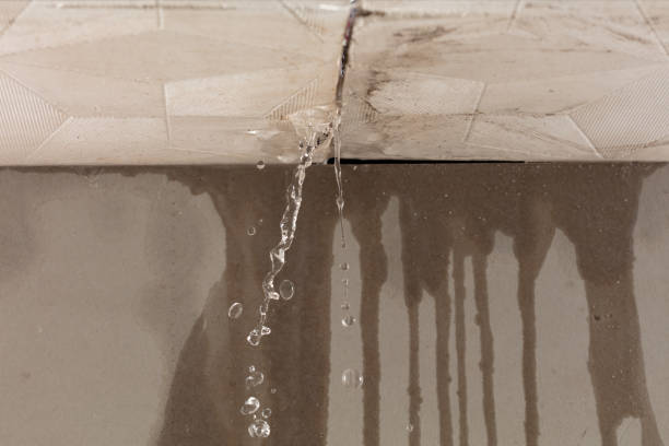 Professional Flood Damage Cleanup technician working in Ecorse, MI